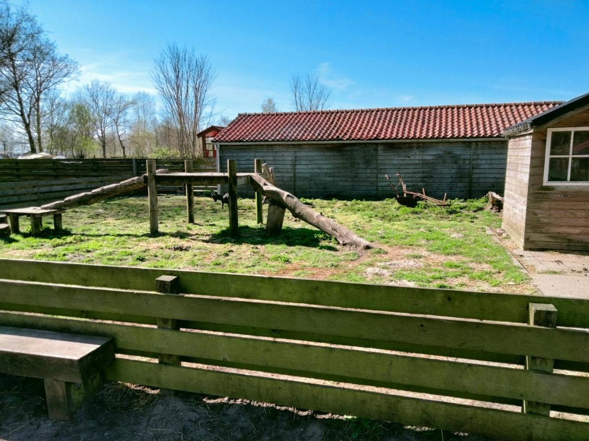 Bj Chalets - Robbengat 85 - Gezellige Chalet Op Vakantiepark Lauwersoog! Vroege Incheck! Met Airco! Εξωτερικό φωτογραφία